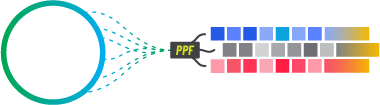 Asset 64
